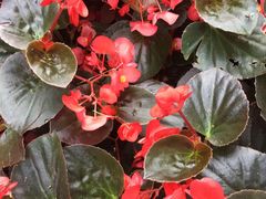 -艾溪湖湿地公园