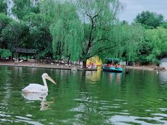 -西安秦岭野生动物园