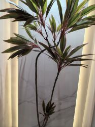 -悦润荟美容抗衰中心