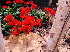 -南通洲际绿博园