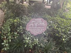 -浙江西子宾馆·瑶园咖啡厅