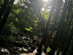 -共青国家森林公园-售票处