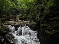 -牛背梁国家森林公园