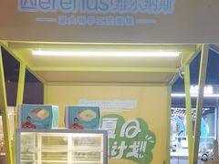 -维尔纳斯·生日蛋糕动物奶油冰淇淋蛋糕(人大店)