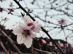 -南京市江宁方山