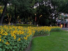 -浙江大学(玉泉校区)