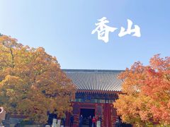 -香山公园