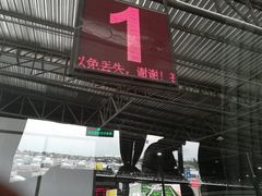 -东芭乐园