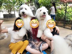 -TrueLove @ Neverland (Husky Cafe)