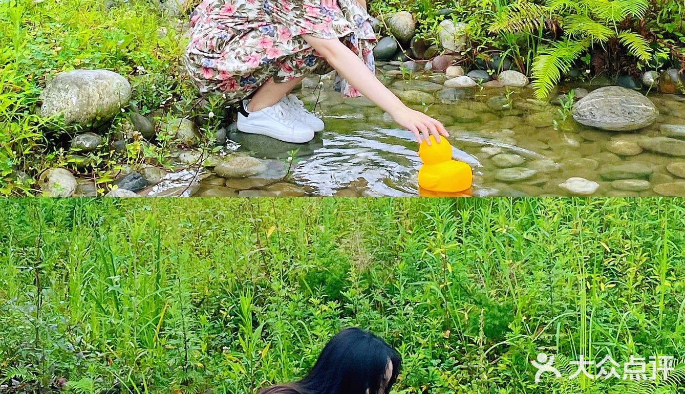 嘎嘎嘎，带你去看一万只“好会生活鸭”‼️