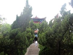-蓬莱阁景区