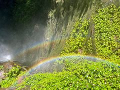 -莫里热带雨林景区