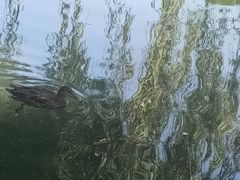 -水磨沟公园