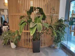 -章光101防脱养发荟