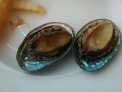 -东方红海鲜百汇(国际大厦店)