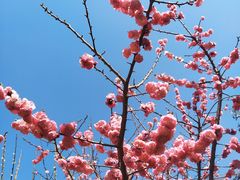 -贮水山儿童公园