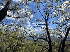 -吉林市朱雀山国家森林公园
