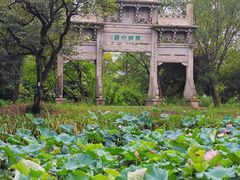 -野蔓果·山野菜(西湖景区·龙井茶田店)