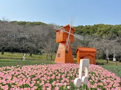 -苏州上方山国家森林公园