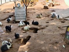 -鄂尔多斯野生动物园