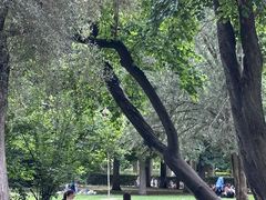 -丽池公园