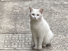 -静安别墅