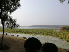 -丁香湖公园