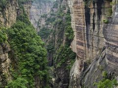 -王莽岭风景区