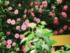 -AHAVA·Fang Baking Studio
