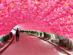 -渭南桃花源民俗文化园