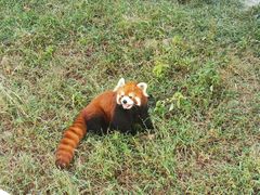 -临沂动植物园