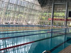 -深圳大学城（南区）体育中心-游泳馆