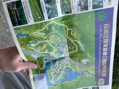 -南宁良凤江国家森林公园