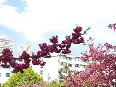 -昆明动物园