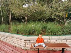 -燕郊植物园