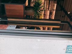 -Apollo·西班牙小酒馆(安福路店)