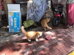 -猫爷的腔调·黔小馆(交大医学住宅区店)