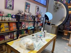 -山宅一喵德文卷毛猫舍