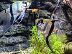-上海海洋水族馆