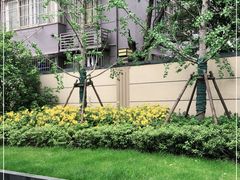 -Ms.Pilates 普拉提技术(尚悦湾陆家嘴店)