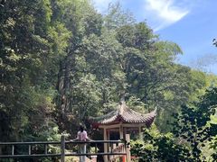 -莫干山风景区
