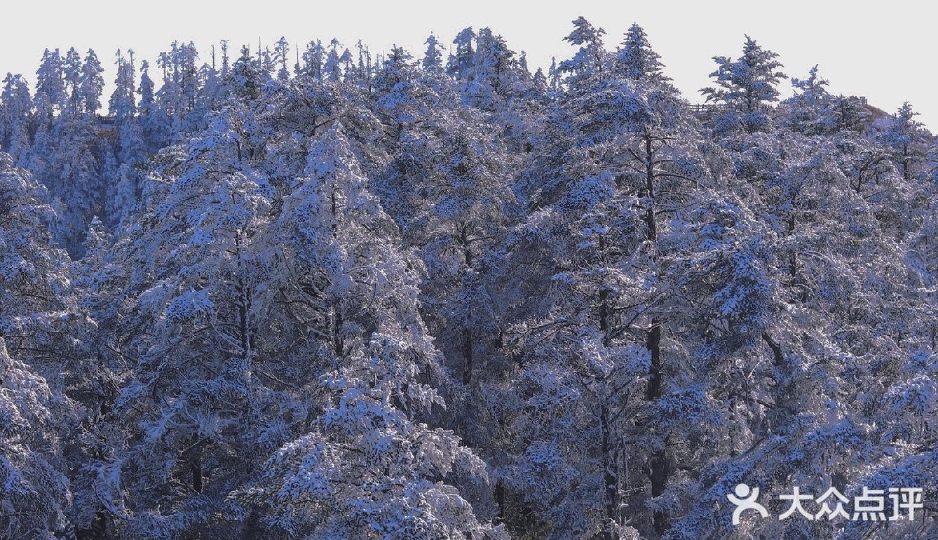 昨天的西岭雪山