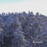 昨天的西岭雪山