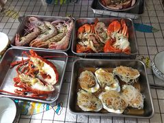 -大湾区中央湿地公园-十九涌