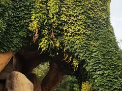 -燕窝岭