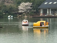 -白马涧龙池景区