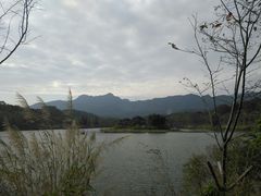 -田野绿世界