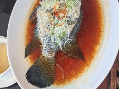 -环球港凯悦 · 享悦中餐厅