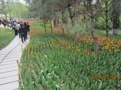 小路-长春公园(普阳街道)