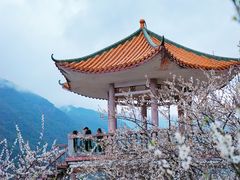 -广州市流溪河国家森林公园